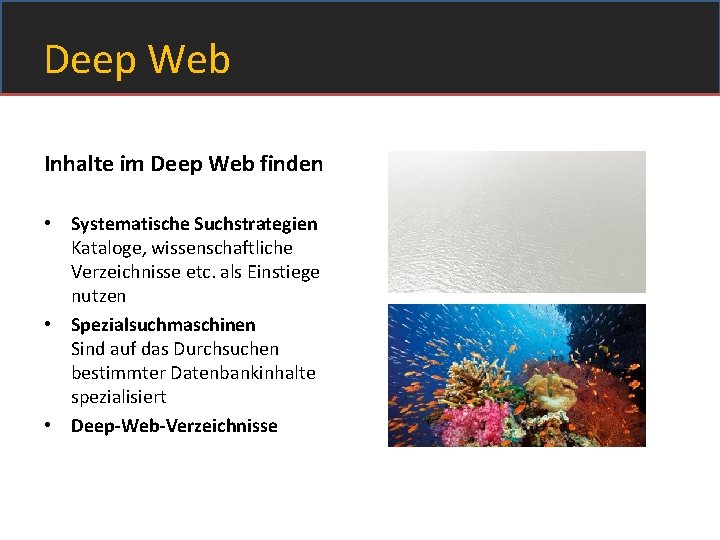 Deep Web Inhalte im Deep Web finden • Systematische Suchstrategien Kataloge, wissenschaftliche Verzeichnisse etc.