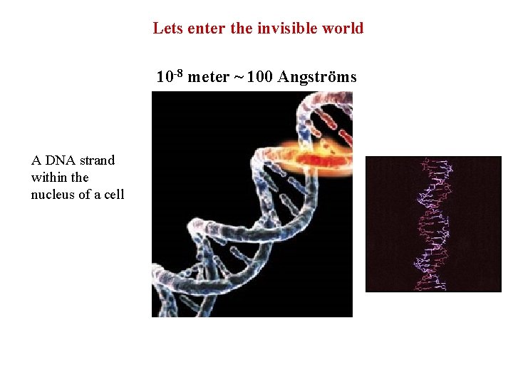 Lets enter the invisible world 10 -8 meter ~ 100 Angströms A DNA strand