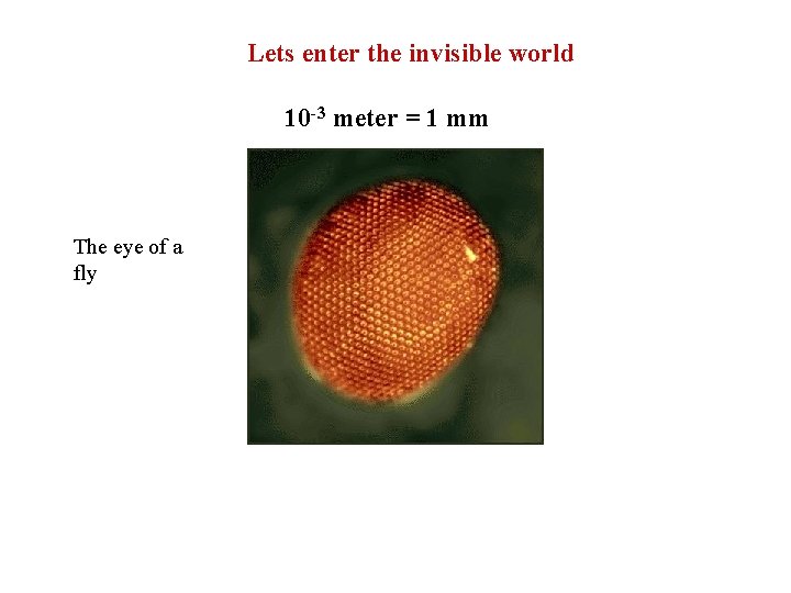 Lets enter the invisible world 10 -3 meter = 1 mm The eye of