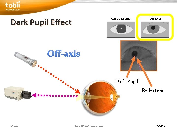 Caucasian Dark Pupil Effect Asian Off-axis Dark Pupil Reflection 6/17/2021 Copyright Tobii Technology, Inc.