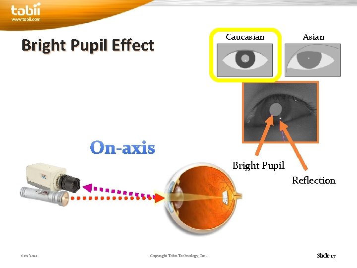 Bright Pupil Effect Caucasian Asian On-axis Bright Pupil Reflection 6/17/2021 Copyright Tobii Technology, Inc.