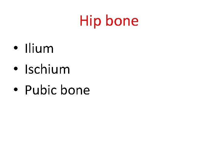 Hip bone • Ilium • Ischium • Pubic bone 