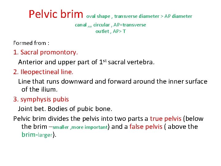 Pelvic brim oval shape , transverse diameter > AP diameter canal , , ,