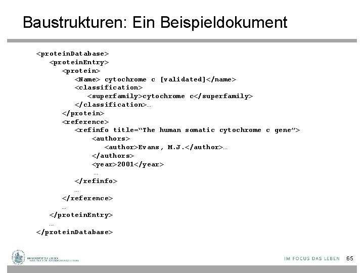 Baustrukturen: Ein Beispieldokument <protein. Database> <protein. Entry> <protein> <Name> cytochrome c [validated]</name> <classification> <superfamily>cytochrome