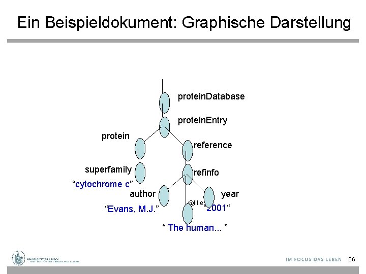 Ein Beispieldokument: Graphische Darstellung protein. Database protein. Entry protein superfamily reference refinfo “cytochrome c”