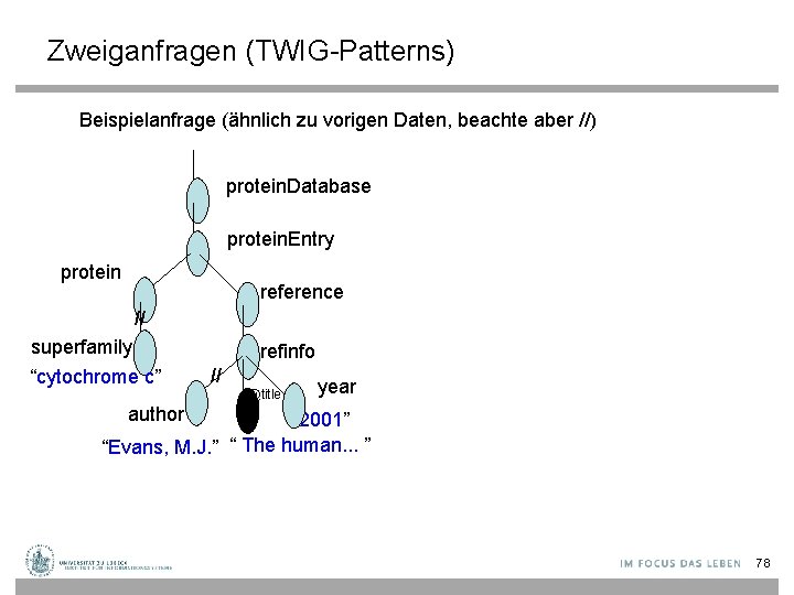 Zweiganfragen (TWIG-Patterns) Beispielanfrage (ähnlich zu vorigen Daten, beachte aber //) protein. Database protein. Entry