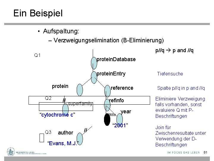 Ein Beispiel • Aufspaltung: – Verzweigungselimination (B-Eliminierung) p//q p and //q Q 1 protein.