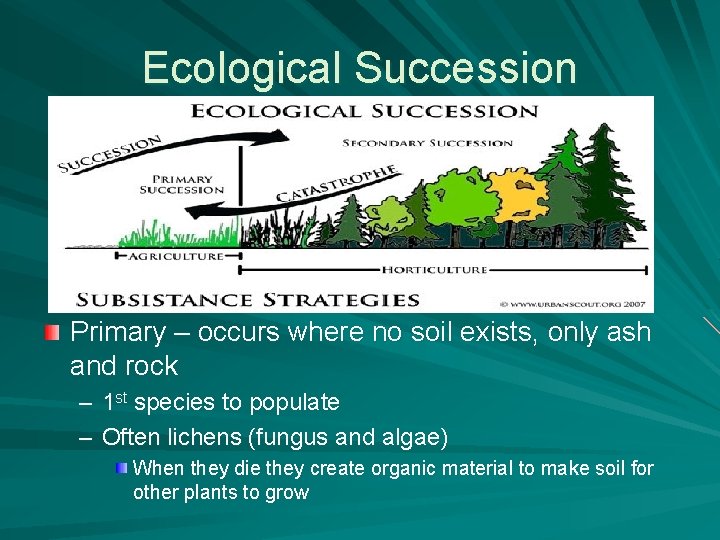 Ecological Succession Primary – occurs where no soil exists, only ash and rock –