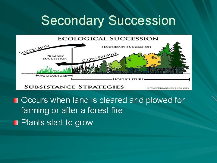 Secondary Succession Occurs when land is cleared and plowed for farming or after a