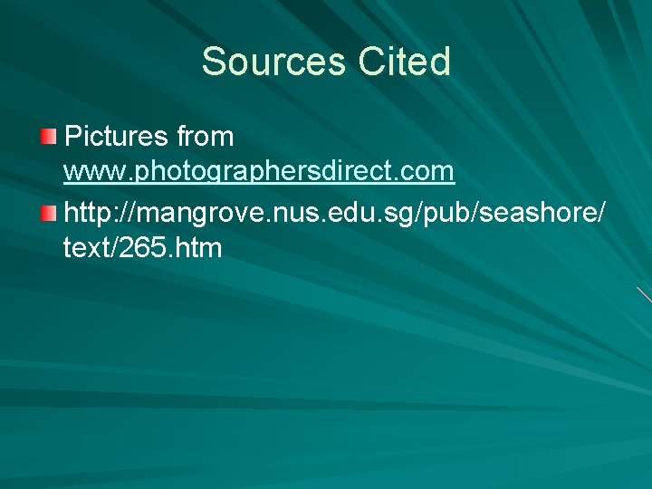 Sources Cited Pictures from www. photographersdirect. com http: //mangrove. nus. edu. sg/pub/seashore/ text/265. htm