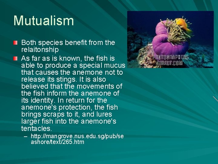 Mutualism Both species benefit from the relaitonship As far as is known, the fish