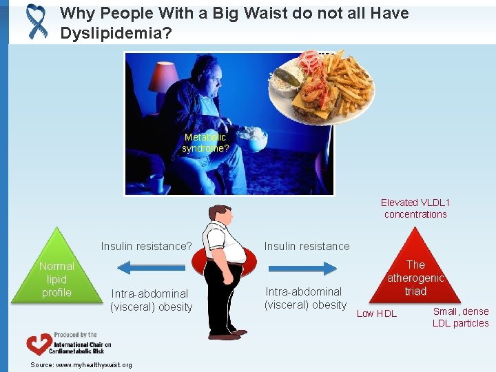 Why People With a Big Waist do not all Have Dyslipidemia? Metabolic syndrome? Elevated