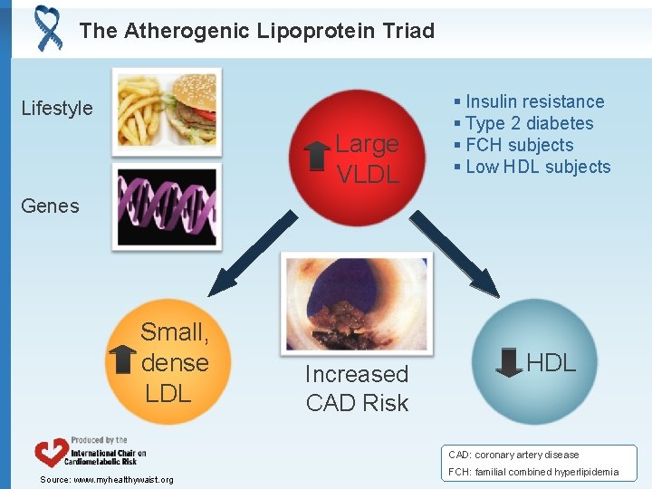 The Atherogenic Lipoprotein Triad Lifestyle Large VLDL § Insulin resistance § Type 2 diabetes