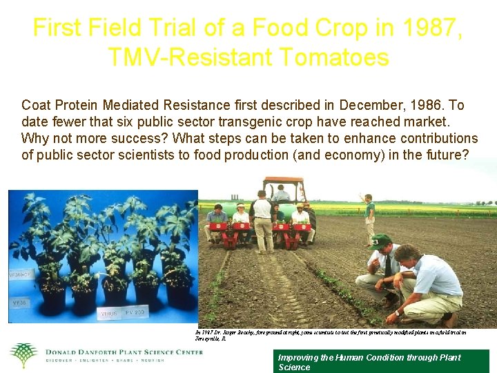 First Field Trial of a Food Crop in 1987, TMV-Resistant Tomatoes Coat Protein Mediated