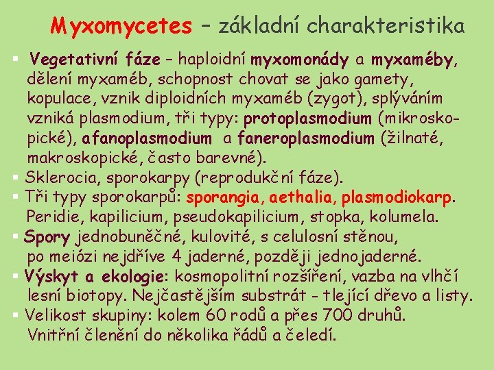 Myxomycetes – základní charakteristika § Vegetativní fáze – haploidní myxomonády a myxaméby, dělení myxaméb,