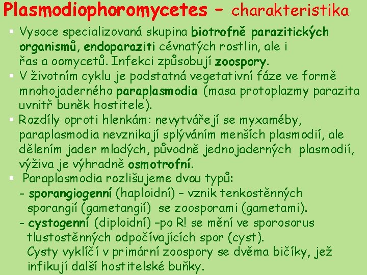 Plasmodiophoromycetes – charakteristika § Vysoce specializovaná skupina biotrofně parazitických organismů, endoparaziti cévnatých rostlin, ale