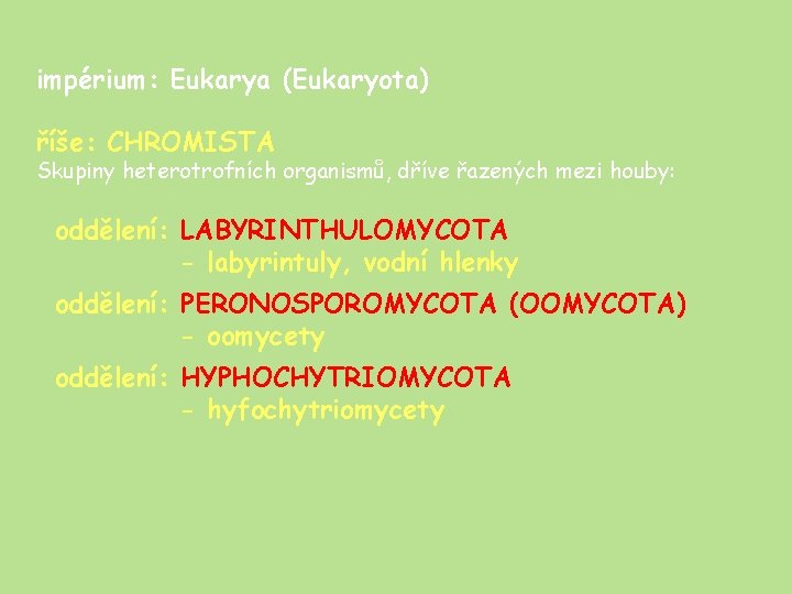 impérium: Eukarya (Eukaryota) říše: CHROMISTA Skupiny heterotrofních organismů, dříve řazených mezi houby: oddělení: LABYRINTHULOMYCOTA