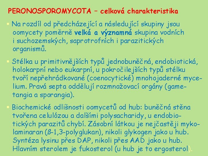 PERONOSPOROMYCOTA – celková charakteristika § Na rozdíl od předcházející a následující skupiny jsou oomycety