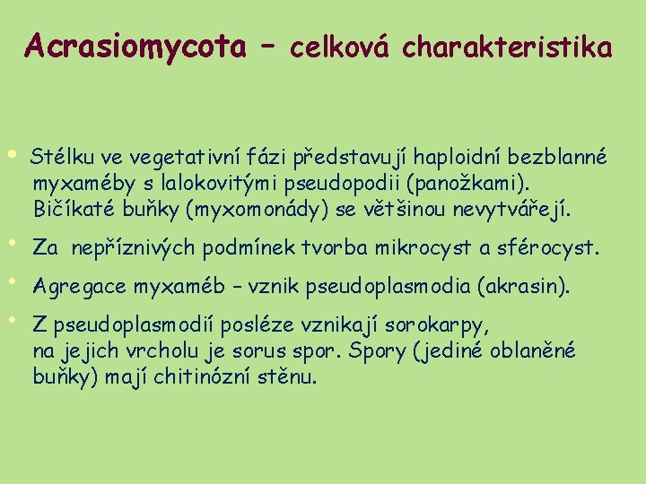 Acrasiomycota – celková charakteristika • • Stélku ve vegetativní fázi představují haploidní bezblanné myxaméby