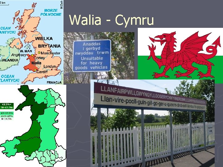 Walia - Cymru 