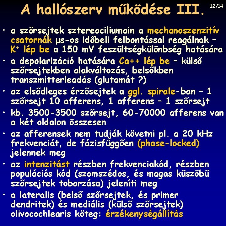 A hallószerv működése III. 12/14 • a szőrsejtek sztereociliumain a mechanoszenzitív csatornák μs-os időbeli
