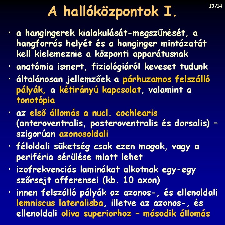 A hallóközpontok I. 13/14 • a hangingerek kialakulását-megszűnését, a hangforrás helyét és a hanginger