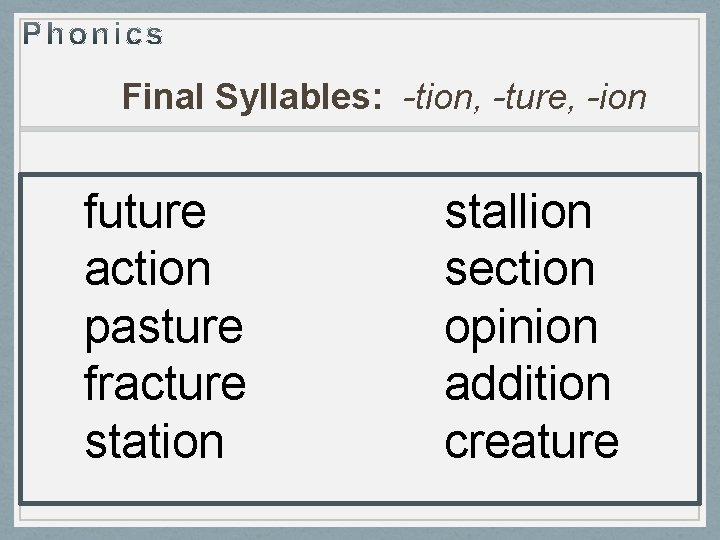 Final Syllables: -tion, -ture, -ion future action pasture fracture station stallion section opinion addition