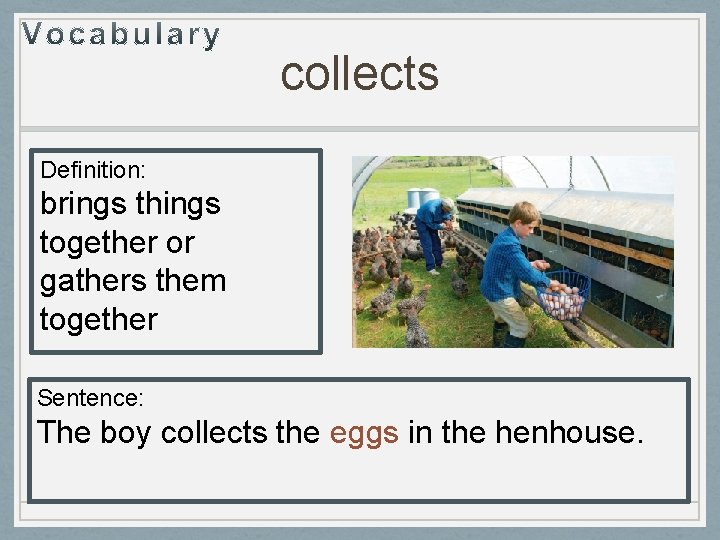 collects Definition: brings things together or gathers them together Sentence: The boy collects the