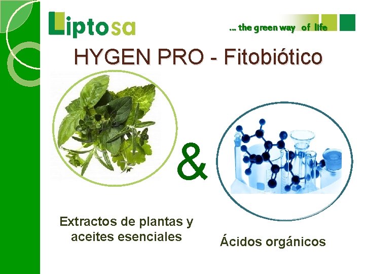 … the green way of life HYGEN PRO - Fitobiótico & Extractos de plantas