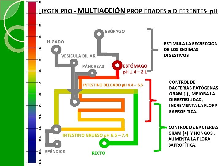 HYGEN PRO - MULTIACCIÓN PROPIEDADES a DIFERENTES p. H ESÓFAGO HÍGADO ESTIMULA LA SECRECCIÓN