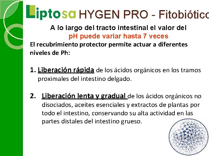 HYGEN PRO - Fitobiótico A lo largo del tracto intestinal el valor del p.