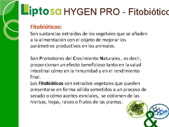 HYGEN PRO - Fitobióticos: Son sustancias extraídas de los vegetales que se añaden a