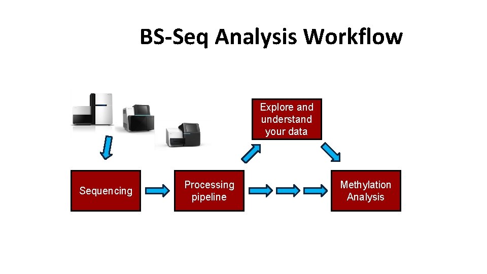 BS-Seq Analysis Workflow Explore and understand your data Sequencing Processing pipeline Methylation Analysis 