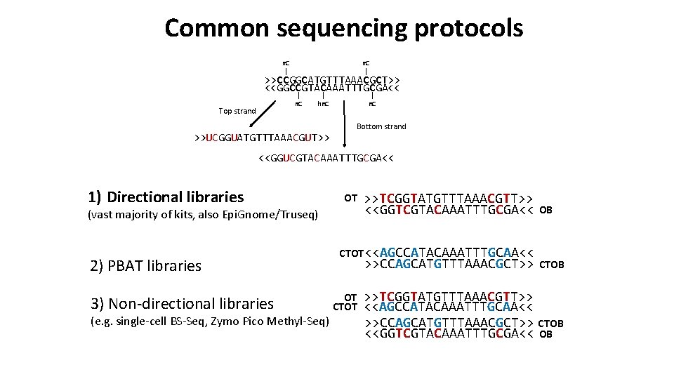 Common sequencing protocols m. C | >>CCGGCATGTTTAAACGCT>> <<GGCCGTACAAATTTGCGA<< | m. C Top strand |