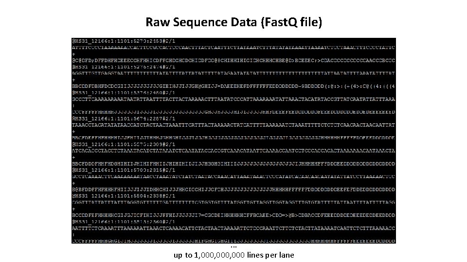 Raw Sequence Data (Fast. Q file) . . . up to 1, 000, 000