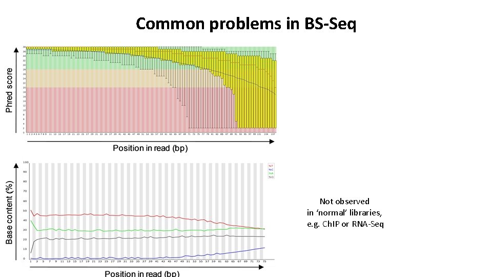 Common problems in BS-Seq Not observed in ‘normal’ libraries, e. g. Ch. IP or
