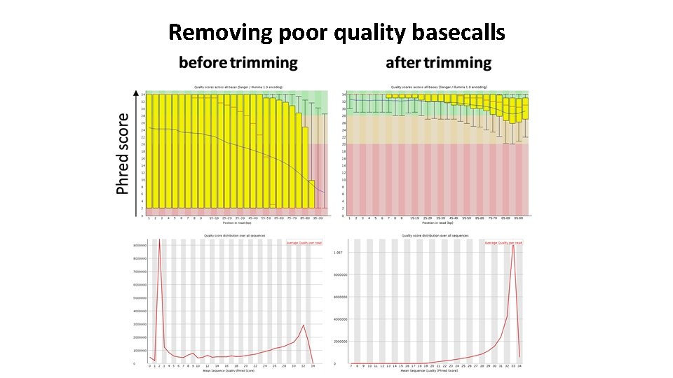 Removing poor quality basecalls 