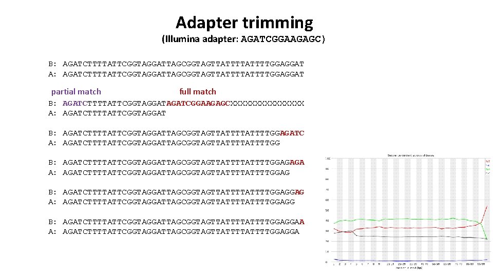 Adapter trimming (Illumina adapter: AGATCGGAAGAGC) B: AGATCTTTTATTCGGTAGGATTAGCGGTAGTTATTTTGGAGGAT A: AGATCTTTTATTCGGTAGGATTAGCGGTAGTTATTTTGGAGGAT partial match full match B: