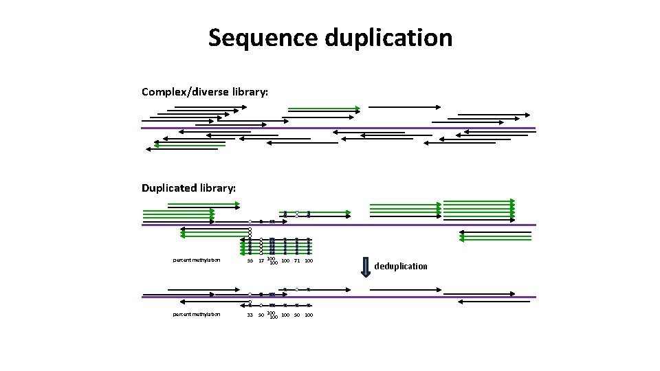 Sequence duplication Complex/diverse library: Duplicated library: percent methylation 55 17 100 100 71 100