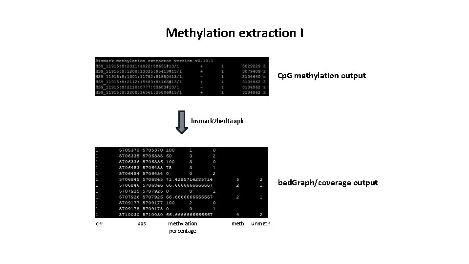 Methylation extraction I Cp. G methylation output bismark 2 bed. Graph/coverage output chr pos