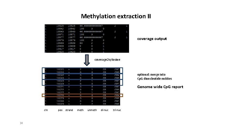 Methylation extraction II coverage output coverage 2 cytosine optional: merge into Cp. G dinucleotide