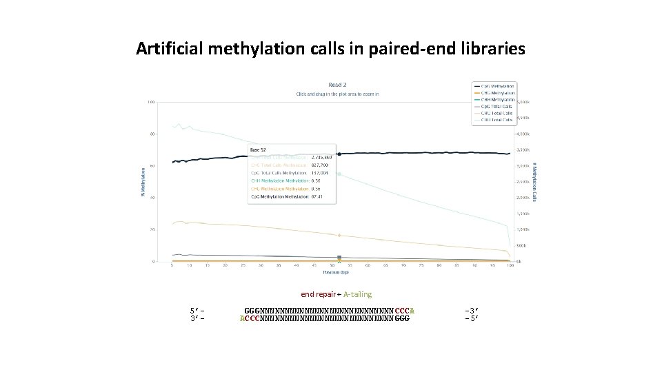 Artificial methylation calls in paired-end libraries end repair + A-tailing 5’ 3’- GGGNNNNNNNNNNNNNN CCCA