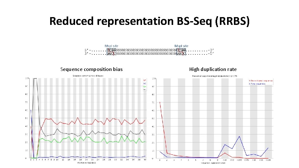 Reduced representation BS-Seq (RRBS) Sequence composition bias High duplication rate 