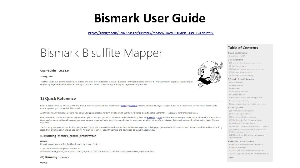 Bismark User Guide https: //rawgit. com/Felix. Krueger/Bismark/master/Docs/Bismark_User_Guide. html 