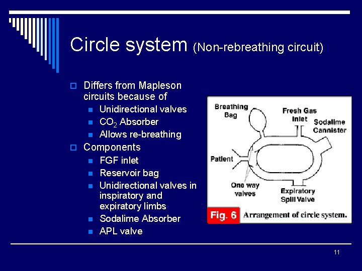 Circle system (Non-rebreathing circuit) o Differs from Mapleson circuits because of n n n