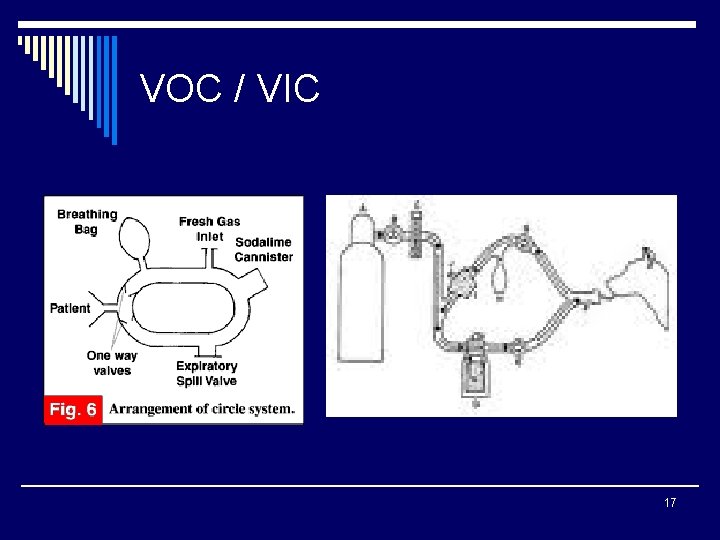 VOC / VIC 17 