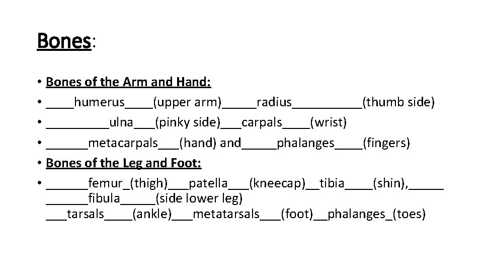 Bones: • Bones of the Arm and Hand: • ____humerus____(upper arm)_____radius_____(thumb side) • _____ulna___(pinky