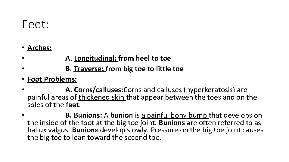 Feet: • Arches: • A. Longitudinal: from heel to toe • B. Traverse: from