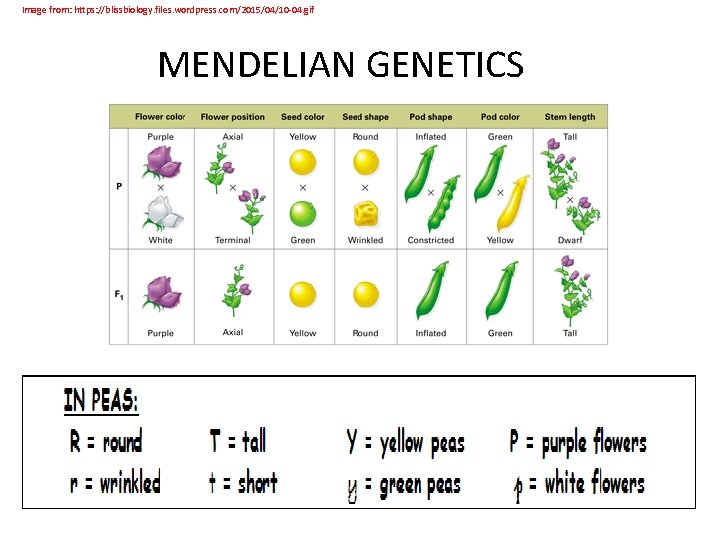 BILL PRACTICE Kelly Riedell Brookings Biology Image