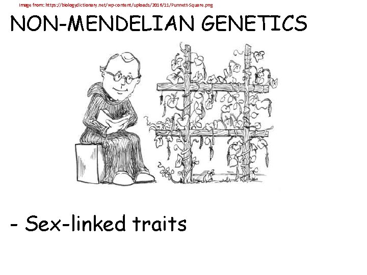 BILL PRACTICE Kelly Riedell Brookings Biology Image
